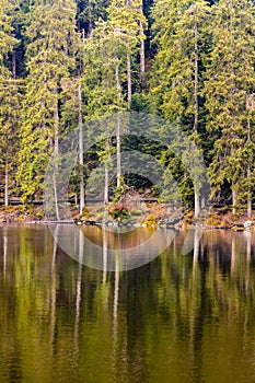 Mummelsee lake and Trail in Black Forest