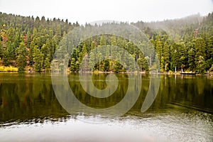 Mummelsee lake and Trail in Black Forest