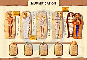Mummy creation cartoon vector infographic