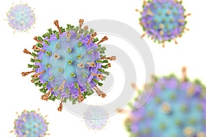 Mumps virus illustration