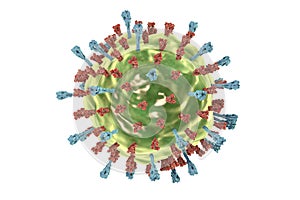 Mumps virus structure