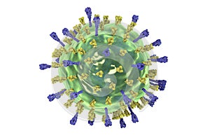 Mumps virus structure