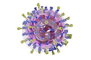 Mumps virus structure
