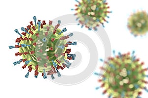 Mumps virus structure