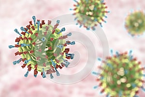 Mumps virus structure