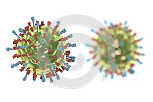 Mumps virus structure