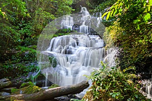 Mun dang waterfall with a pink flower foreground in Rain Forest at Phitsanulok Province, Thailand