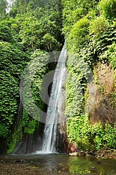Munduk waterfall at Buleleng regency of Bali - Indonesia