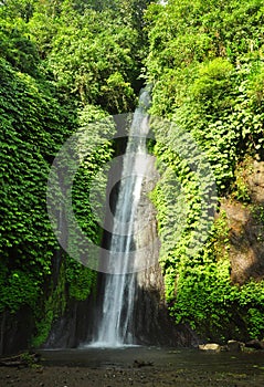 Munduk waterfall at Buleleng regency of Bali - Indonesia