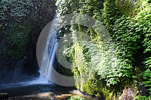 Munduk waterfall at Buleleng regency of Bali - Indonesia