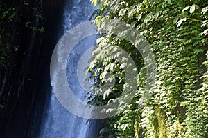 Munduk waterfall at Buleleng regency of Bali - Indonesia