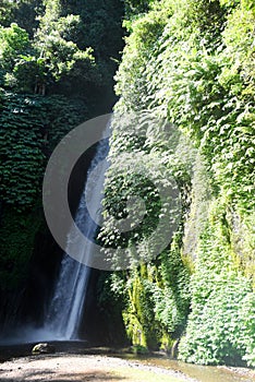 Munduk waterfall at Buleleng regency of Bali - Indonesia