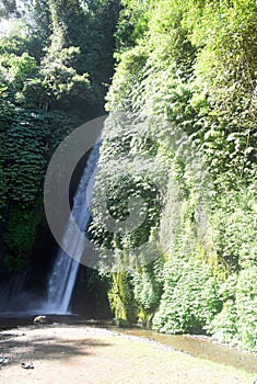 Munduk waterfall at Buleleng regency of Bali - Indonesia