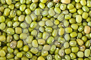 Mung bean photo