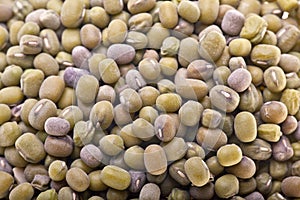 Mung bean, green soybeans seeds
