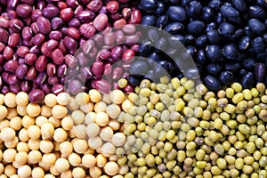 Mung bean and soybean photo