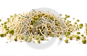 Mung bean sprouts, cut out on white background