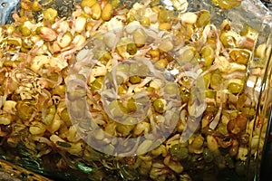 mung bean sprouts in a germ glass