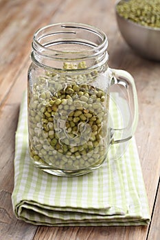 Mung bean sprouts