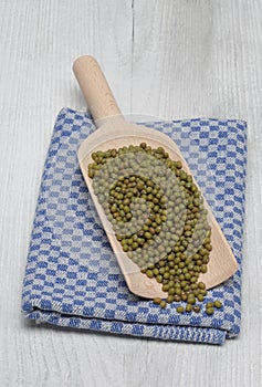 Mung bean, Vigna radiata