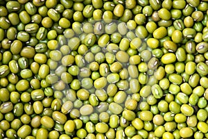 mung beans