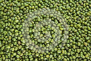 Mung Beans photo