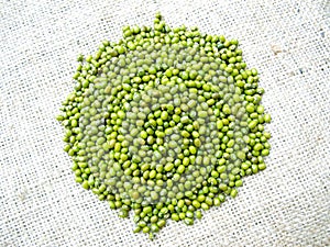 Mung Beans photo