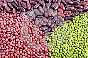 Mung beans, adzuki beans and red kidney beans photo