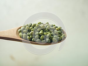 Mung Beans also known as Green Moong, Kacang Hijau, Vigna Radiata