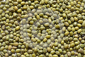 Mung beans background clouseup.