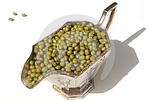 Mung Beans In Container
