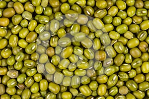 Mung beans or green beans