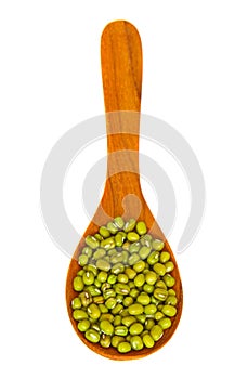 Mung beans over wooden spoon isolated