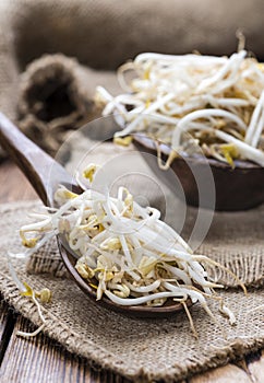 Mungbean Sprouts photo