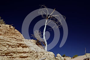 Mungo National Park photo