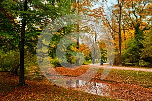 Munich English garden Englischer garten park in autumn. Munchen, Bavaria, Germany photo