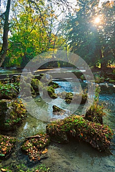 Munich English garden Englischer garten park in autumn. Munchen, Bavaria, Germany photo