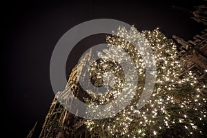 Munich new city hall Neues Rathaus taken during a snown winter night with the Christmas tree of Munich Christmas market in front