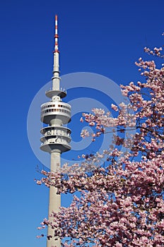 Munich olympic park