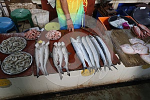 Municipal Fish Market, Rue Heliodoro Salgado, Panaji, Goa, India