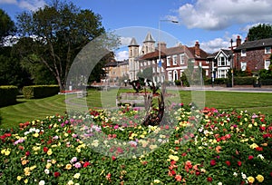 Municipal gardens photo