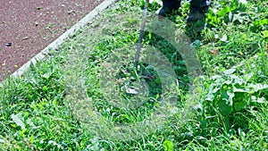 municipal lawnmover man worker cutting grass with disc trimmer at day time in slow motion