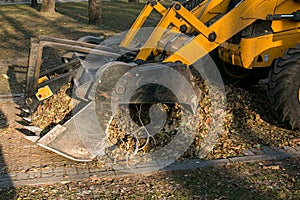 The municipal service is carrying out autumn works in the park