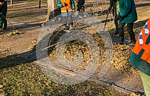 The municipal service is carrying out autumn works in the park.