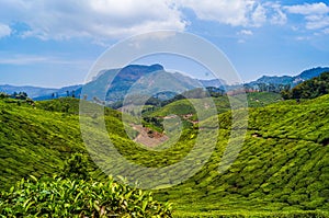 Munnar Indiaâ€™s Kerala