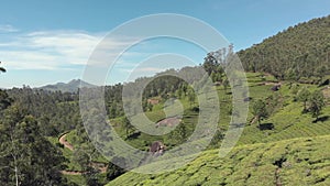 Munnar Mountainous hills covered by Tea plantation gardens on a sunny day - Aerial Low angle Panoramic Orbit shot
