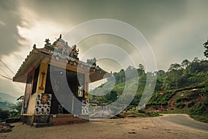 Munnar tea plantation cloudy sky indu temple with his shadow on the path