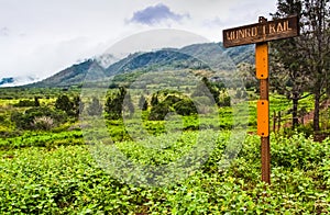 Munro Trail Marker and Fog Laden Mountains