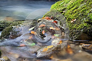 Muntain creek close-up with leafs