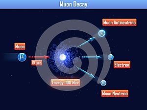 Muon Decay